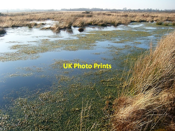 Photo 6"x4" Bog pool Fingland\/NY2557 c2008
