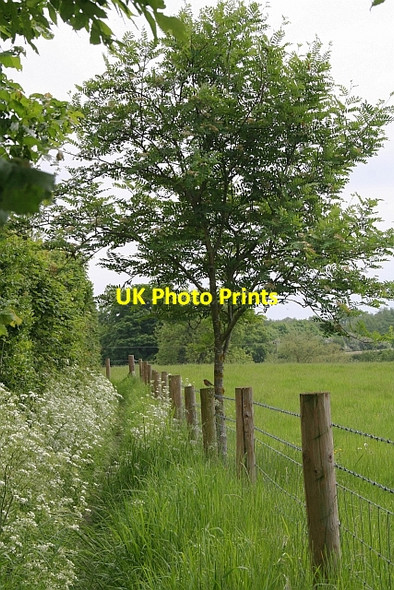 Photo 6"x4" Path to Hanley Castle Church End\/SO8341 c2008