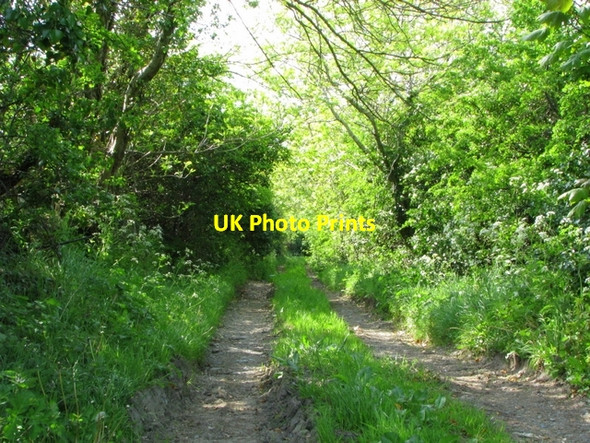 Photo 6"x4" Track, Creighton's Green Road near Holywood Cultra c2008