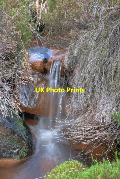 Photo 6"x4" Danby Beck Danby High Moor c2008 P1