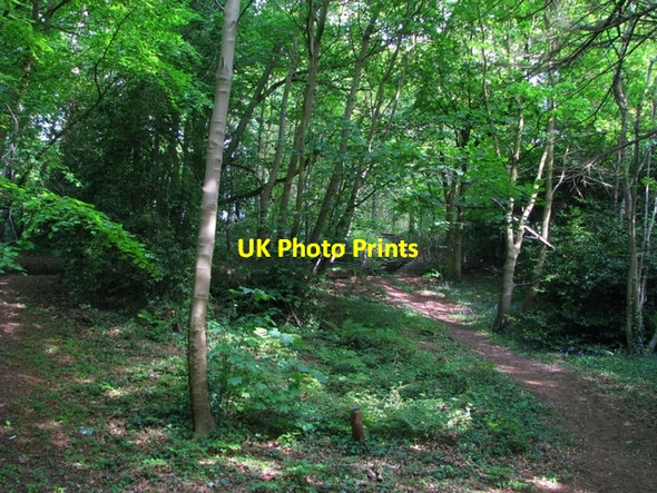 Photo 6"x4" Glenlyon, Holywood [2] Holywood\/J3979 c2008
