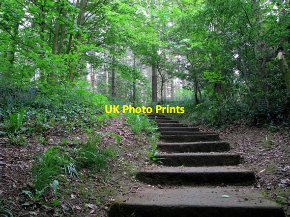 Photo 6"x4" Glenlyon, Holywood [3] Holywood\/J3979 c2008