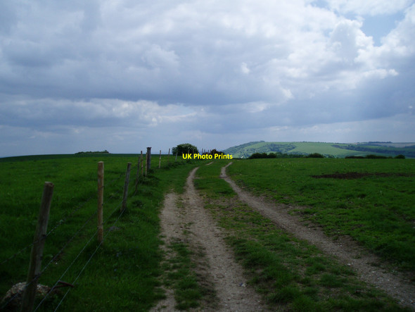 Photo 6"x4" South Downs Way approaches Barnsfarm Hill North End\/TQ1109 c2008