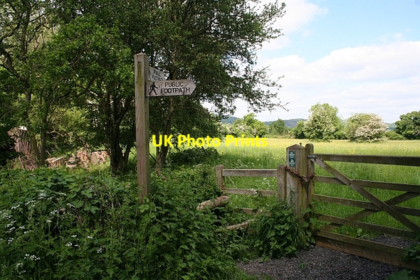 Photo 6"x4" Two paths near Rye Street Rye Street c2008