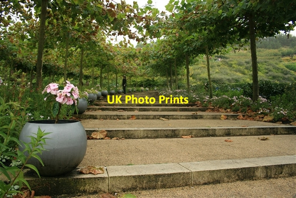 Photo 6"x4" Steps, Eden Project St Austell c2007