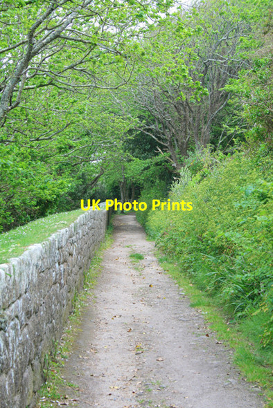 Photo 6"x4" Path on The Garrison Walls Hugh Town c2008