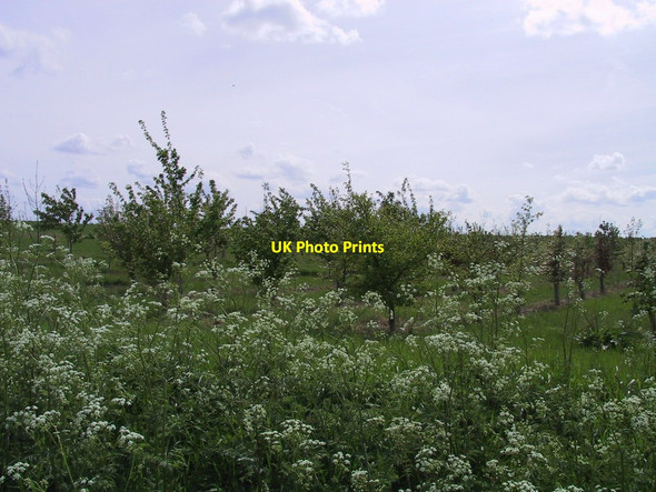 Photo 6"x4" Reach Wood Burwell\/TL5866 c2003