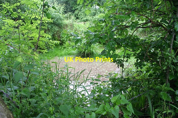 Photo 6"x4" Small pond Birtsmorton c2008