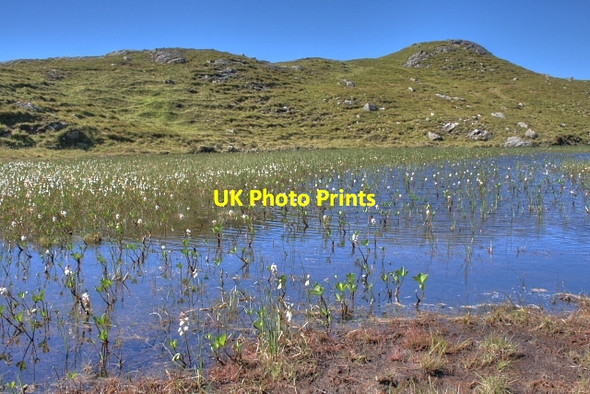 Photo 6"x4" Lochan West of Sgurr an Albanaich Bunacaimb c2008