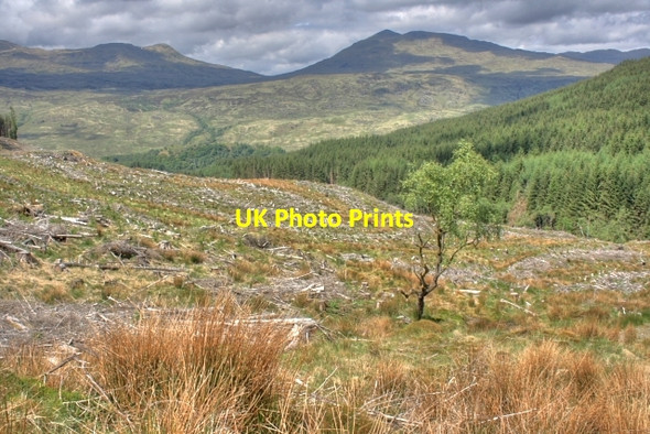 Photo 6"x4" Allt Coire Chaorach Forest Stob an-t-Suidhe c2008