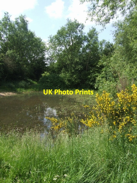 Photo 6"x4" Pool - Fibbersley Local Nature Reserve Wednesfield c2008