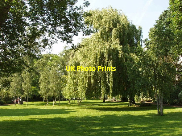 Photo 6"x4" Clarendon Road and Lansdowne Road Communal Garden Kensington\/TQ2579 c2008