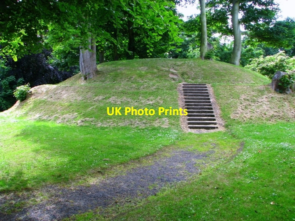 Photo 6"x4" Holywood Motte Cultra c2008