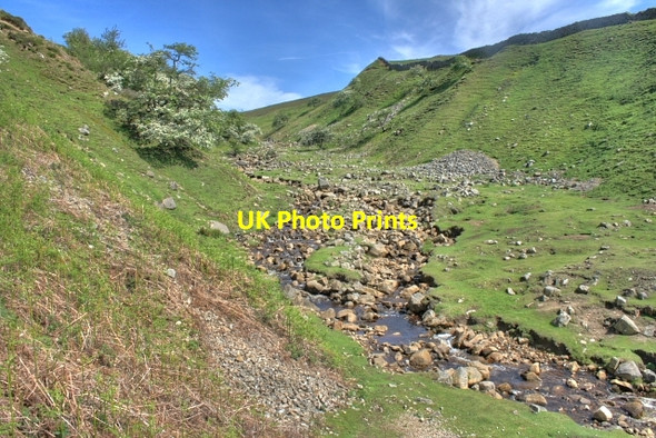 Photo 6"x4" Bleaberry Gill Kearton c2008