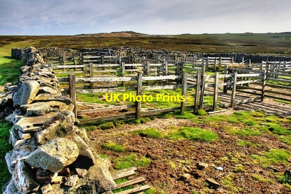 Photo 6"x4" Sheepfold, Surrender Ground Whaw c2008