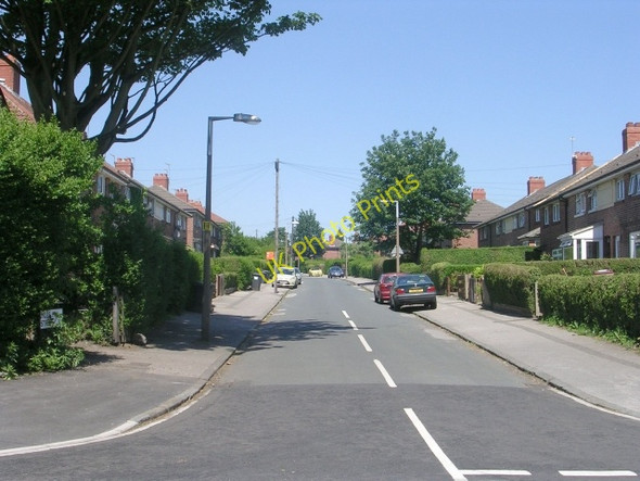 Photo 6"x4" Miles Hill Street - Potternewton Lane Leeds\/SE3034 c2009