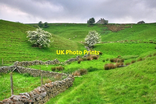 Photo 6"x4" Gill House Arkle Town c2008