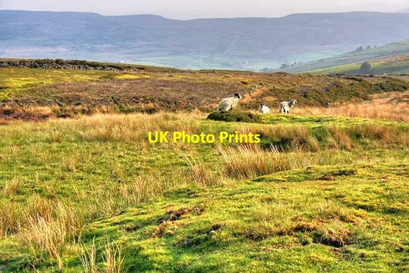 Photo 6"x4" Upper Reaches of Slei Gill Booze c2008