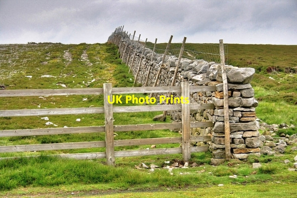 Photo 6"x4" Wall and Fence, Marrick Moor Fremington\/SE0499 c2008