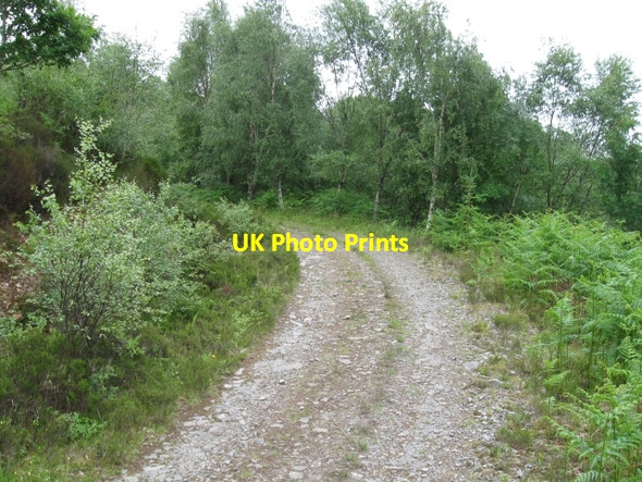 Photo 6"x4" Track, Doire an Daimh Ardshealach c2008
