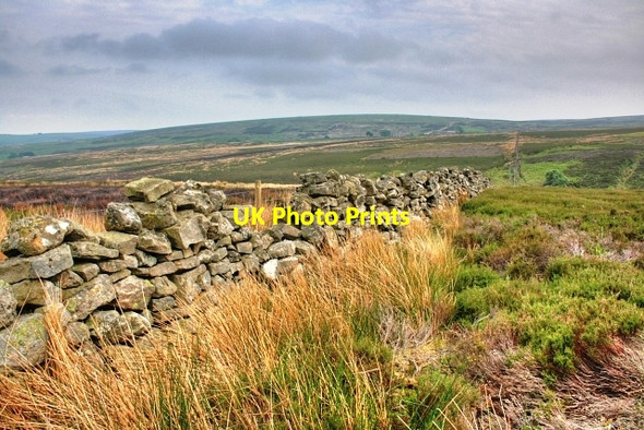 Photo 6"x4" Wall, Hurst Pasture Washfold\/NZ0502 c2008