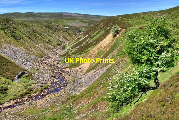Photo 6"x4" Barney Beck Kearton c2008