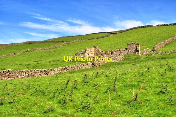 Photo 6"x4" Low Cringley Healaugh\/SE0199 c2008