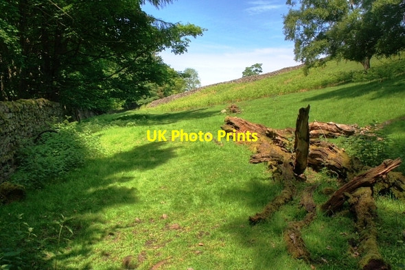 Photo 6"x4" Footpath Below Nova Scotia Healaugh\/SE0199 c2008