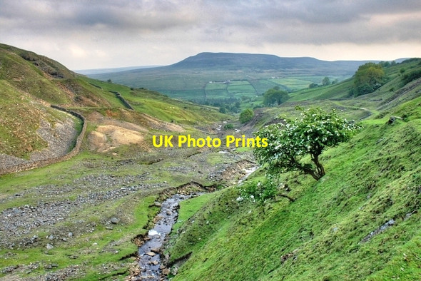 Photo 6"x4" Slei Gill Booze c2008