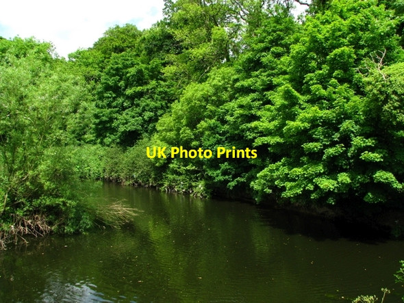 Photo 6"x4" River Lagan near Drumbeg Drumbeg\/J3066 c2008