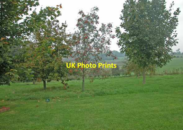 Photo 6"x4" Bo-peep caravan site Adderbury c2006