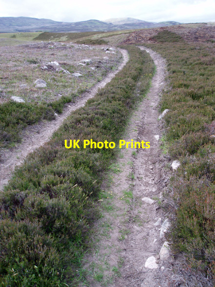 Photo 6"x4" Moorland Track Near Raitts Burn Balavil\/NH7902 c2008