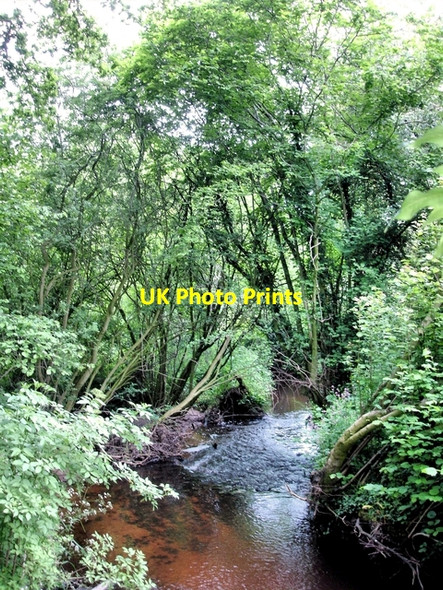 Photo 6"x4" Wych Brook - three counties (and two countries) join Brooklands\/SJ5242 c2008
