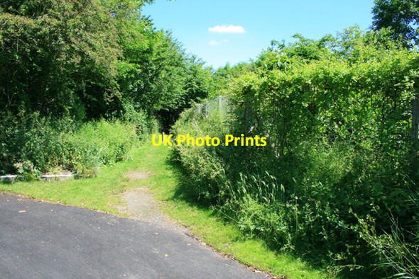 Photo 6"x4" Bridlepath Beside the Railway Bilborough c2008
