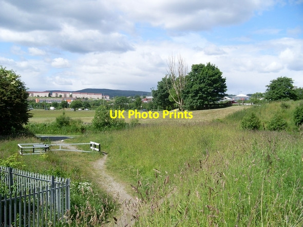 Photo 6"x4" Waste ground by the Forth and Clyde Canal Clydebank\/NS4970 c2008