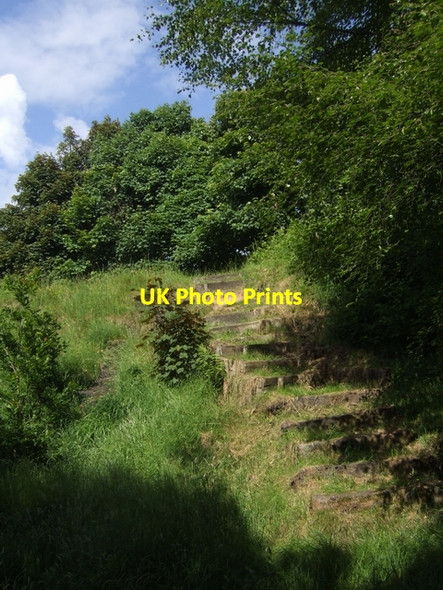 Photo 6"x4" Nature trail on the disused railway Brownhills\/SK0405 c2008