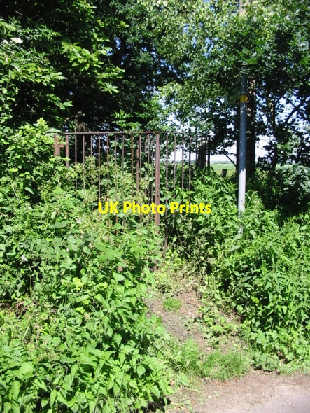 Photo 6"x4" Footpath to Deadmill Bridge Grove Hill\/TR2360 c2008
