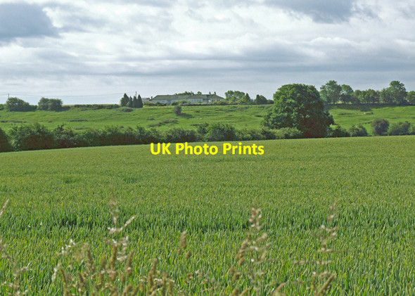 Photo 6"x4" Winter wheat Chesterton Green c2008 P1