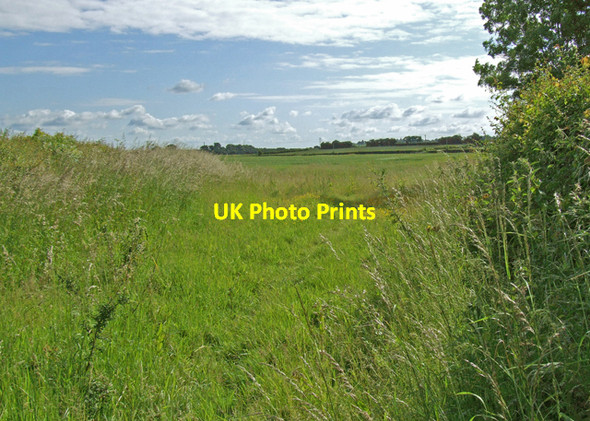 Photo 6"x4" Harbury Fields farm Chesterton Green c2008