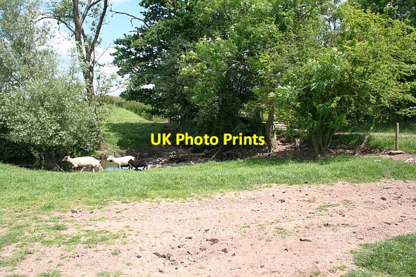 Photo 6"x4" Mill Brook Longdon\/SO8336 c2008