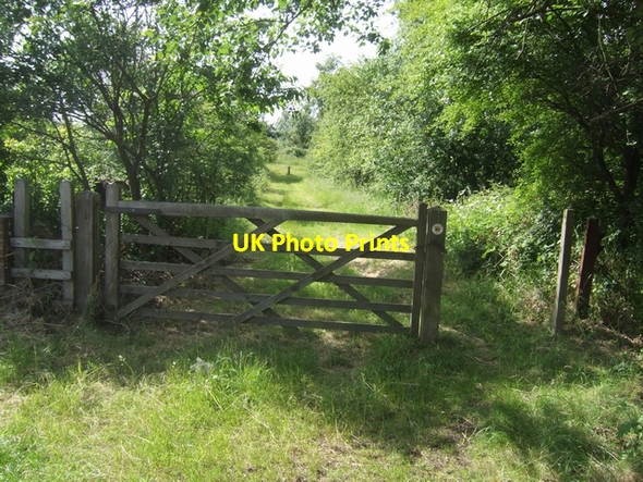 Photo 6"x4" Footpath to Brownhills, Watling Street Station Brownhills\/SK0405 c2008