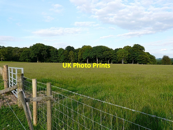 Photo 6"x4" View across grass field to High Wood Burtholme c2008