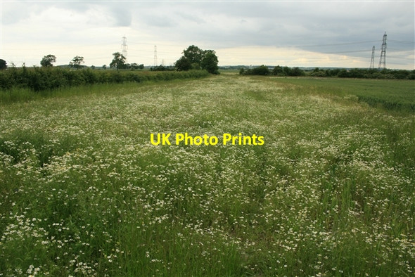 Photo 6"x4" Field margin, Shortley's Road Church Laneham c0