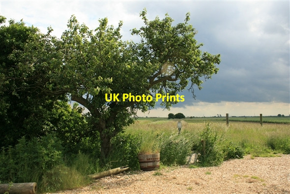 Photo 6"x4" Abbey Parks farm East Heckington c2008