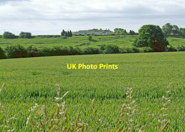 Photo 6"x4" Winter wheat Chesterton Green c2008