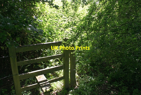 Photo 6"x4" Stile on overgrown footpath Duckswich c2008