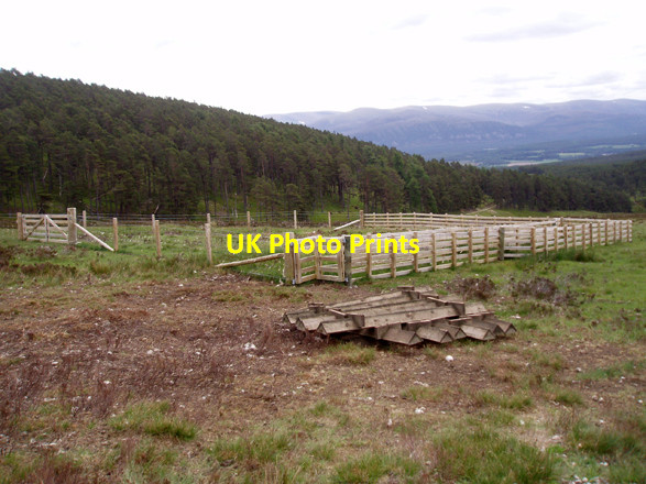 Photo 6"x4" New Sheep Fank Carn an Fhuarain Duibh c2008