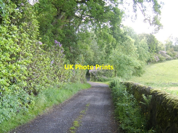 Photo 6"x4" Road to Edinbarnet Bearsden c2008