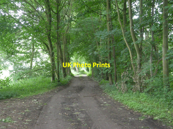 Photo 6"x4" Route of the old railway line Colemore Green c2008