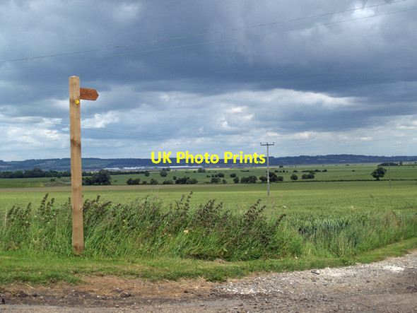 Photo 6"x4" Signpost to Bishopthorpe West Halton c2008